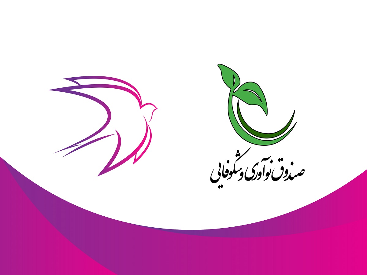 راه اندازی صندوق نوآوری در دانشگاه صنعتی امیرکبیر/ طرح حمایتی جدید صندوق حمایت از پژوهشگران از دوره های پسا دکتری اجرایی می‌شود