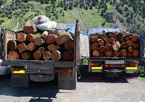 توقیف۴ خودرو نیسان حاوی چوب قاچاق در شاهرود