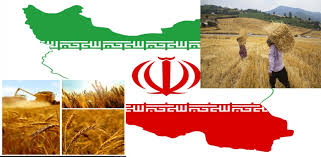بلدهای اقتصاد ایران در زمینه تولیدات داخلی / وارادات برخی اقلام لوکس به کشور!