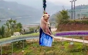 اقدام غیرانسانی مسئولان پارک حیات وحش برای جذب گردشگر!
