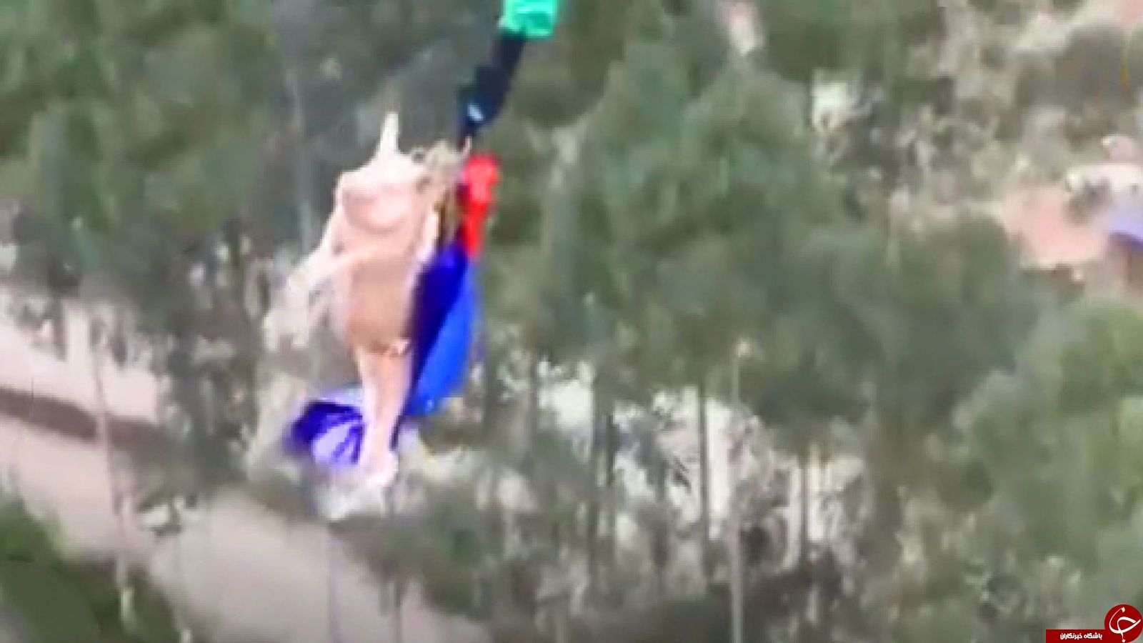 اقدام غیرانسانی مسئولان پارک با خوک زنده برای جذب گردشگر!