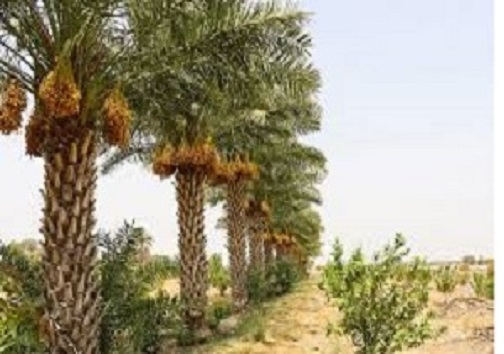 سرخط مهم&zwnj;ترین خبر&zwnj;های روزسه شنبه سوم دی ۹۸ آبادان