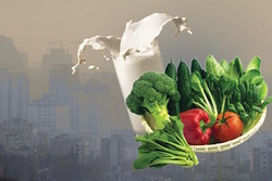 صدای سرسام‌آور و آلودگی بسیار زیاد ناشی از استارت کوره قوس الکتریکی + فیلم