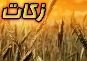 افزایش ۳۲۴ درصدی پرداخت زکات در چهارمحال و بختیاری