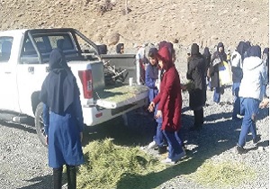 کلاس آموزشی مهربانی با حیات وحش در طبیعت