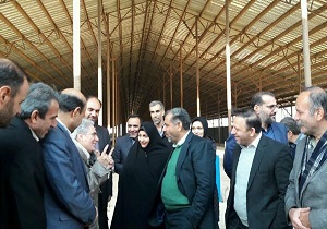 بازدید استاندار قزوین از چند واحد تولیدی در تاکستان