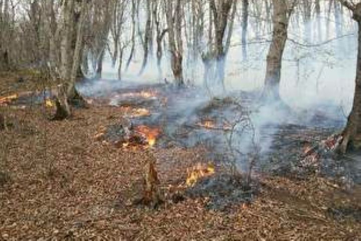 تلاش بی وقفه و نفس گیر آتش‌نشانان شهر باران در پی وقوع باد گرم