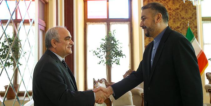 سفیر روسیه با امیرعبداللهیان دیدار و گفت&zwnj;وگو کرد