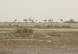 تداوم خشکسالی در استان اردبیل