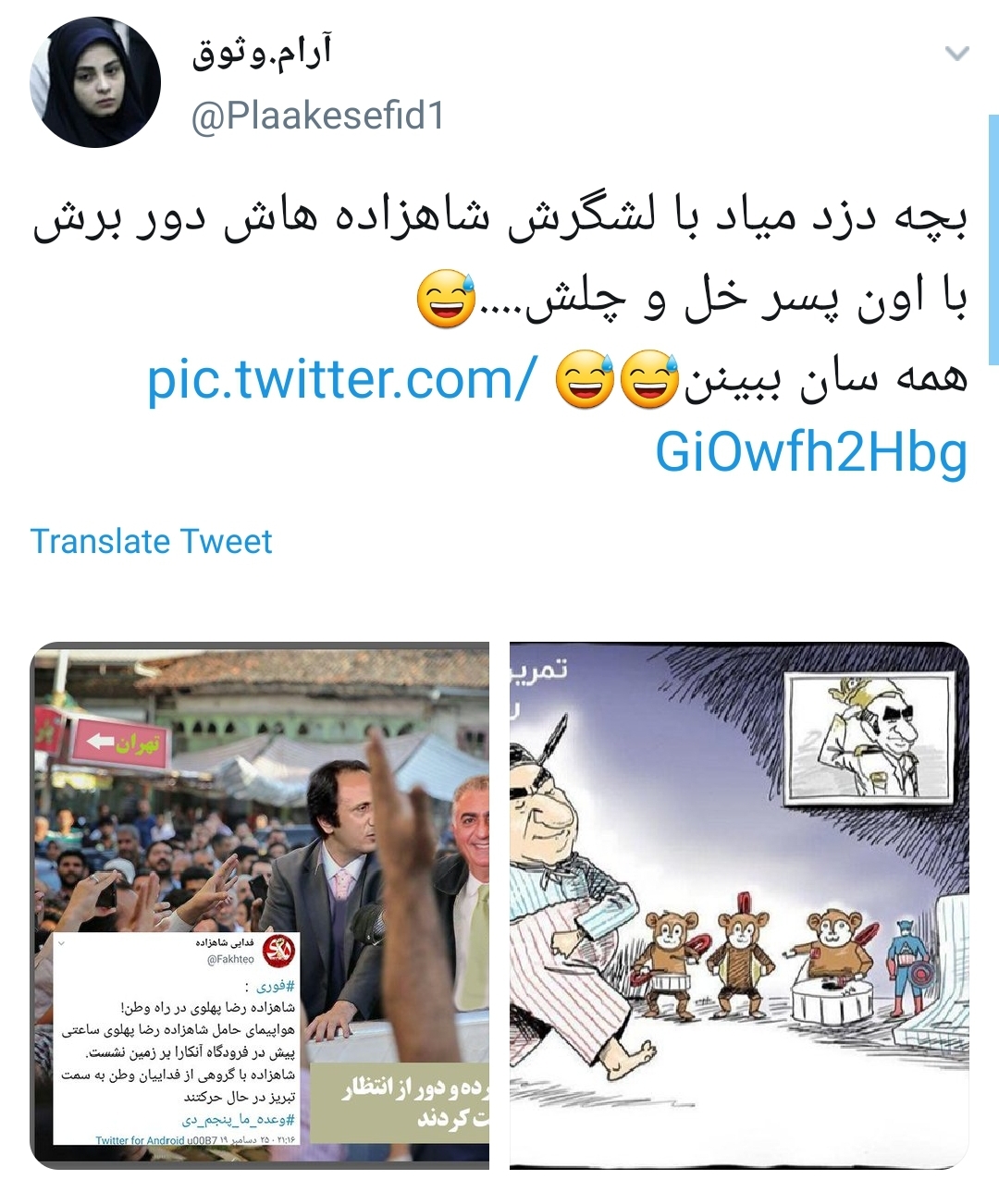 شتر در خواب بیند پنبه دانه