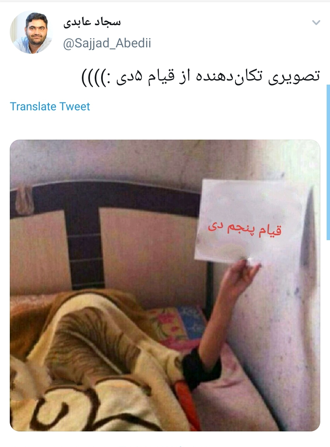 شتر در خواب بیند پنبه دانه