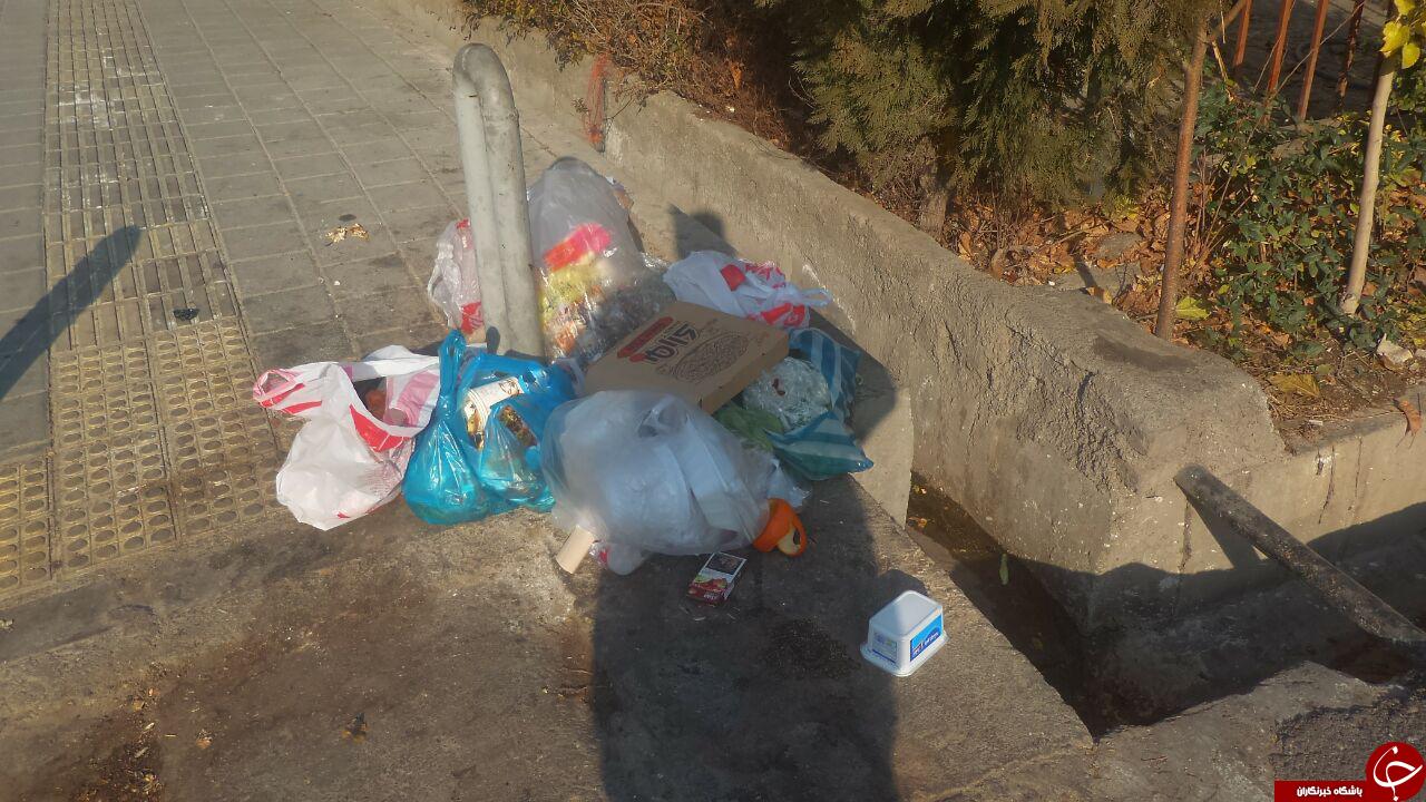 کمبود مخزن زباله در معابر شهرک گلسرخ + تصاویر
