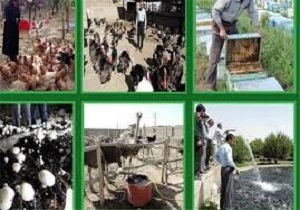 حمایت بسیج سازندگی از طرح‌های زود بازده با پرداخت تسهیلات