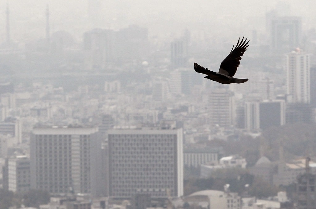 اثرات باران اسیدی بر بدن