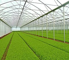 آغاز عملیات اجرایی فاز اول شهرک گلخانه‌ای شهرستان ملکان