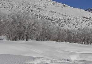پیش بینی آسمانی صاف تا کمی ابری همراه با وزش باد