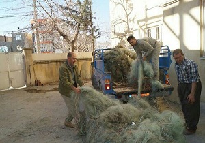 کشف و ضبط هشت هزار متر تور صیادی غیرمجاز در مریوان