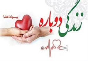 اعضای بیست و دومین مورد مرگ مغزی در اردبیل اهدا شد