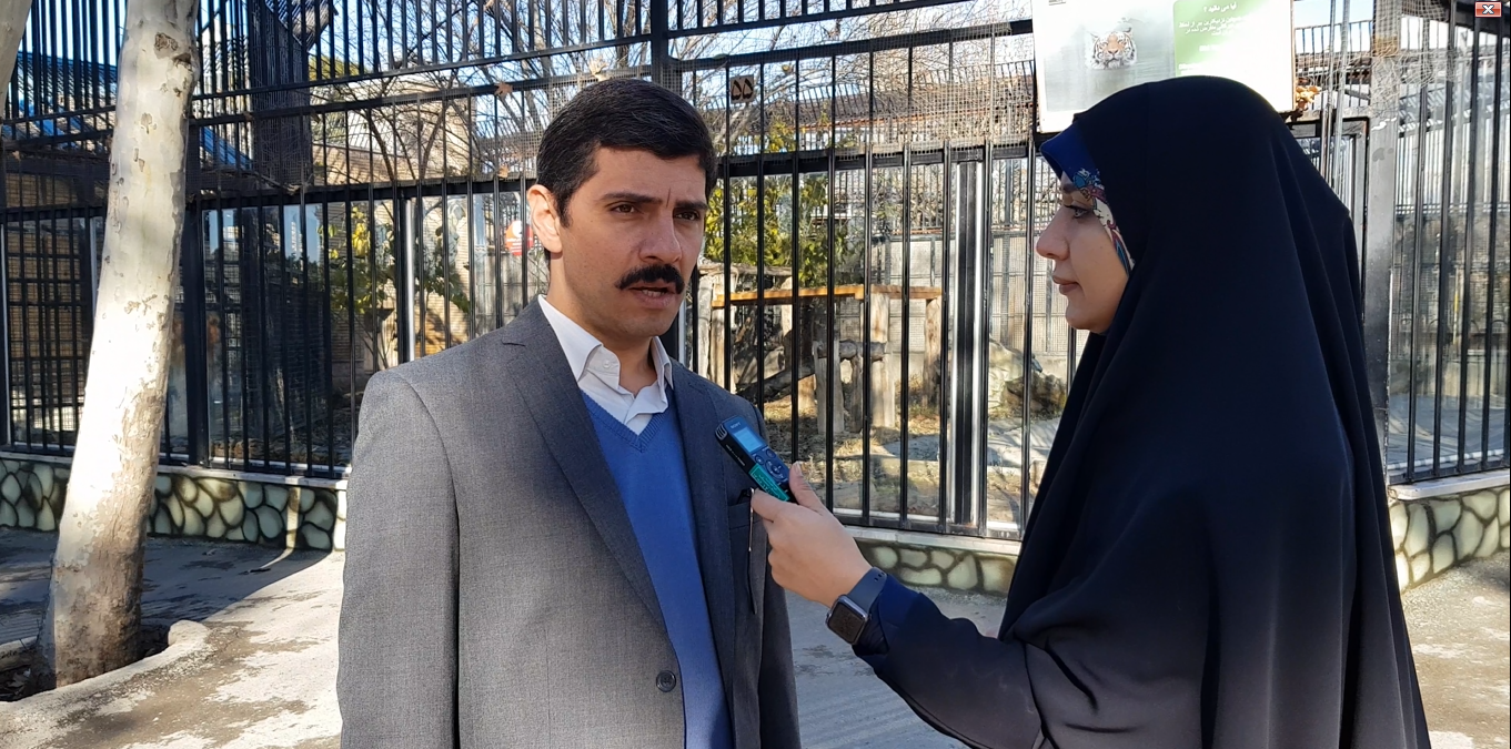 تولید مثل شیر&zwnj;های آفریقایی پارک ارم متوقف شد/ فیل&zwnj;ها در رژیم غذایی هستند