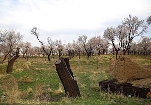 تغییر کاربری در باغستان سنتی قزوین غیر قانونی است