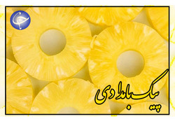 نحوه جالب پوست کندن میوه‌ها برای تولید کمپوت + فیلم