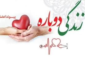 اهدای عضو ،اهدای زندگی