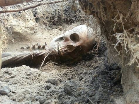ماجرای اسکلت انسان در باغچه خانه ؛ راز گم شدن زن جوان پس از 9 سال فاش شد!