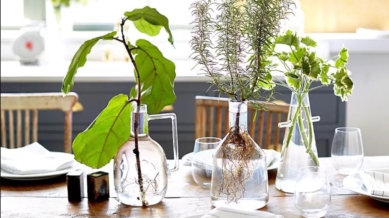گزینه&zwnj;های برای فعالیت اقتصادی در خانه/ کسب و کار خانگی راه اندازی کنید