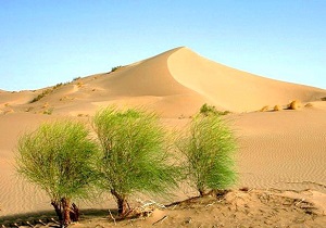 تصویب ۹۰  طرح مدیریت مناطق بیابانی در گرمسار