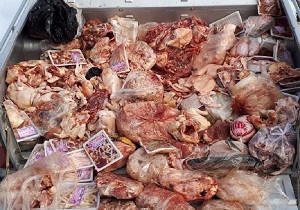 انجام بیش از ۹۹ هزار بازرسی از مراکز تهیه و توزیع فرآورده‌های خام دامی در کردستان