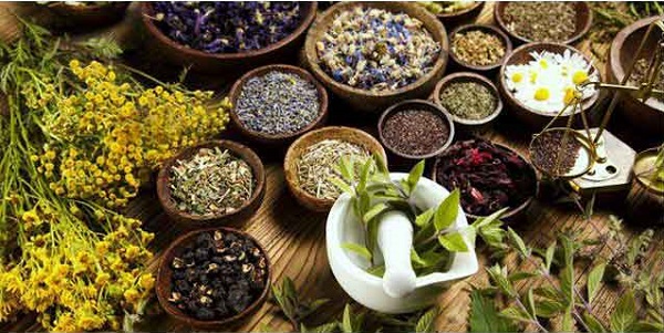 مصرف گیاهان دارویی در بارداری؛ آری یـا نــه؟