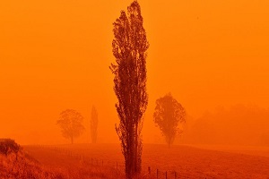 استرالیا علت آتش‌سوزی‌های اخیر این کشور را بررسی می‌کند