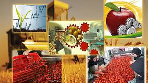 پایداری کشاورزی با توسعه صنایع تبدیلی