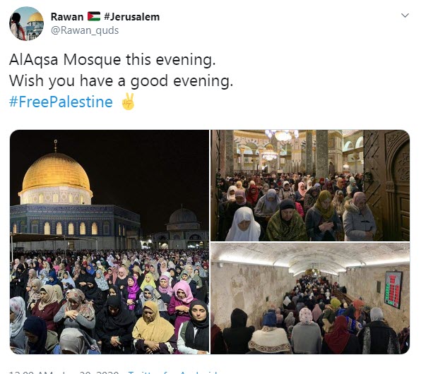 هشتگ «فلسطین آزاد» ترند جهانی شد هشتگ «فلسطین آزاد» ترند جهانی شد