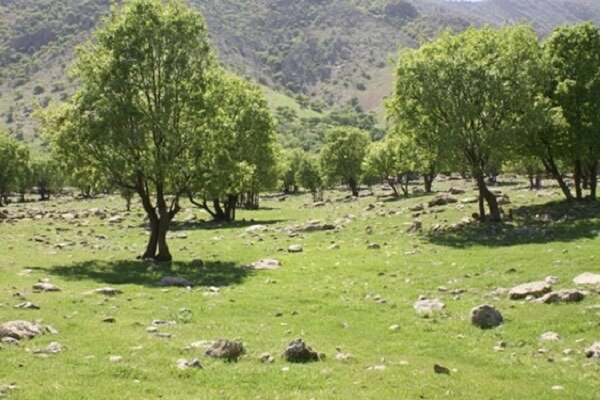 بهره برداری از سه طرح منابع طبیعی در شهرستان تویسرکان