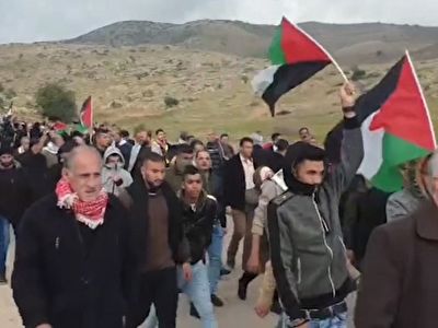 چهل مجروح در درگیری فلسطینیان معترض به معامله قرن با اشغالگران صهیونیست + فیلم