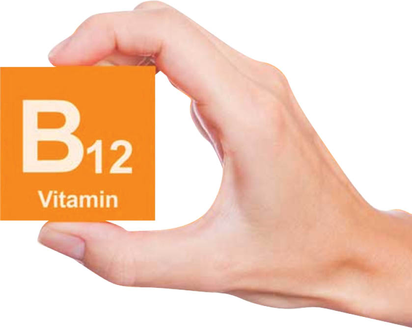 با منابع ویتامین B۱۲ آشنا شوید