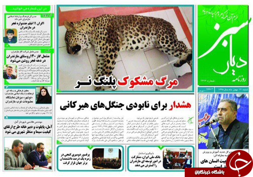 چالش یارانه نقدی و خط فقر/ هشدار برای نابودی جنگل&zwnj;های هیرکانی