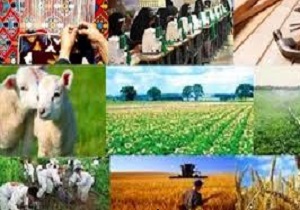 ۶۳ طرح اشتغال روستایی لرستان در دهه فجر افتتاح می شود