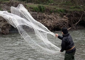 ۳ نفر از متخلفین صید ماهی در شهرستان کوثر دستگیر شدند