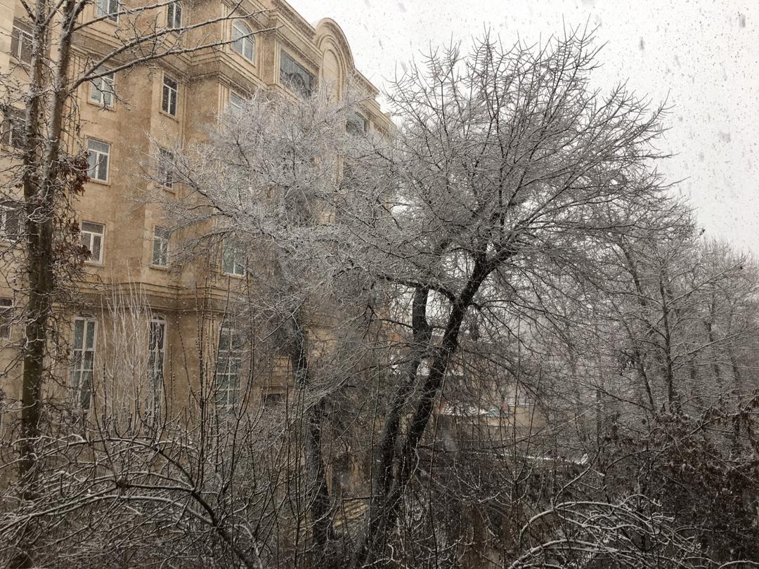بارش برف در البرز