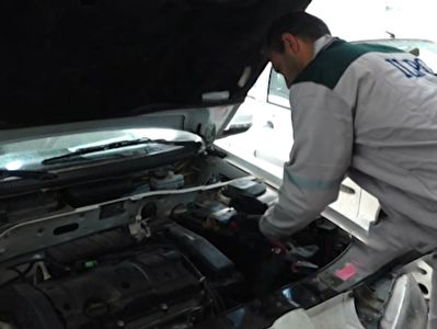 حکایت معلم آچار به دست تا فرشی که تار و پود آن ریشه در طبیعت دارد + فیلم