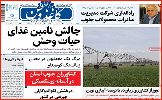 سبقت غیرمجاز در بازار خودرو/ کرونا هنوز وارده کشور نشده/ همه به دنبال متهم!