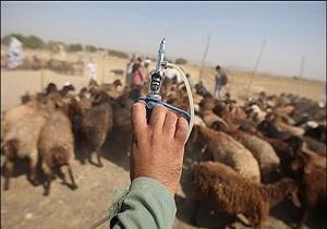  واکسیناسیون رایگان 