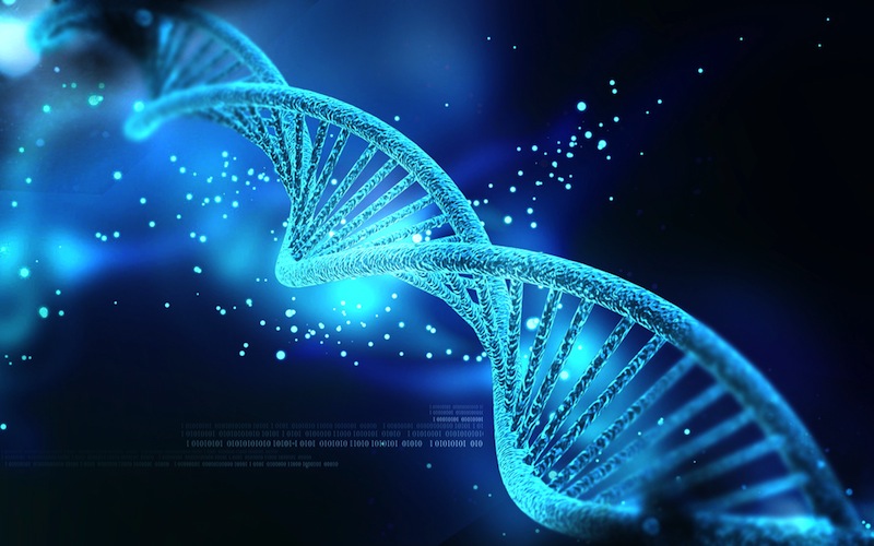 10 واقعیت عجیب اما واقعی در مورد DNA انسان