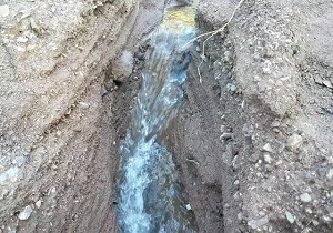 جان گرفتن دوباره چشمه‌ها در هشتبندی هرمزگان + فیلم
