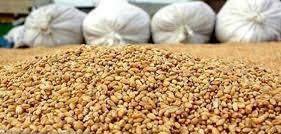 تشکیل کمیته نظارت بر انبار&zwnj;های نگهداری مواد اولیه خوراک دام&zwnj;ها