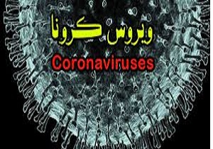 انجام تمهیدات لازم برای غربالگری نسبت به بیماری کرونا