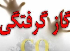 مرگ زن اراکی بر اثر گازگرفتگی