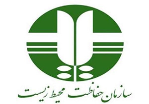 کرونا سوژه داغ این روزهای فضای مجازی/ علت بیهوش شدن کارگر چینی در ماهشهر چه بود؟/ رفاقت با جاده&zwnj;های مرگ&zwnj;بار/ از فواید تا عوارض ویتامین دی